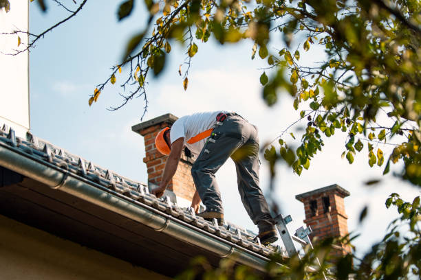 Best Roof Leak Repair  in Monticello, IL