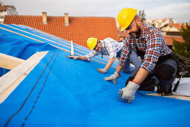 Best Sheet Metal Roofing  in Monticello, IL
