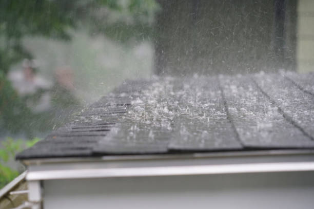 Best Gutter Installation and Repair  in Monticello, IL